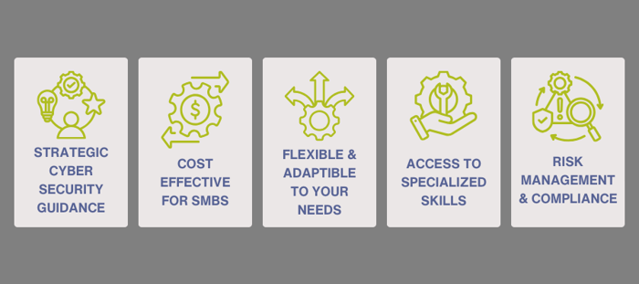 Why hire a vCISO