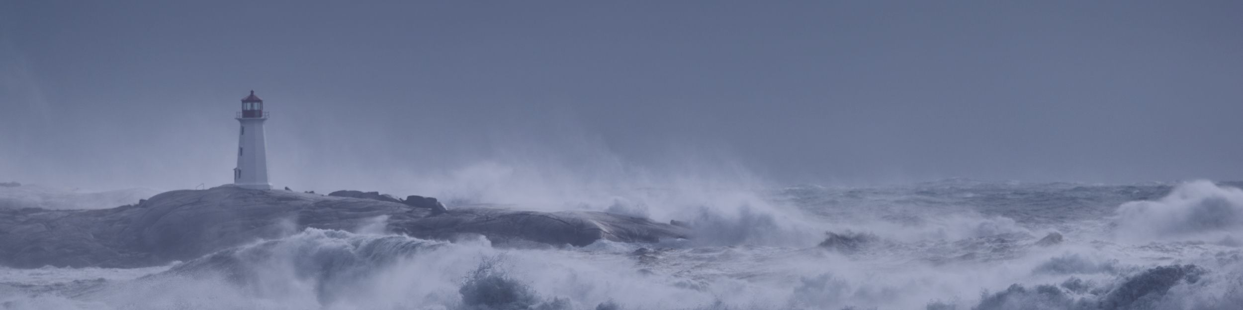 Website Divider-Harbor Image-3